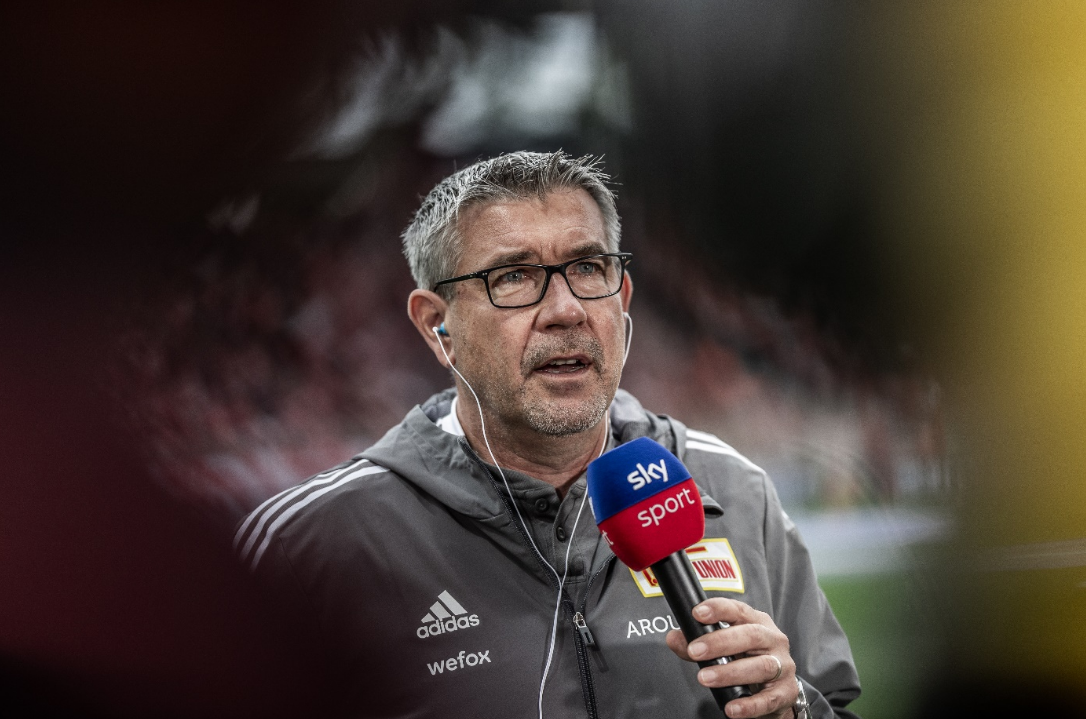 中占据了多 中占据了多