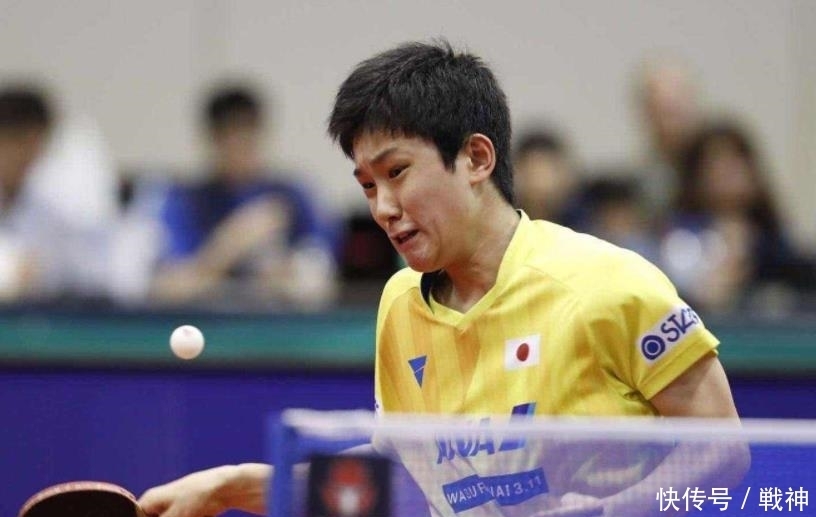 而是成长的 而是成长的