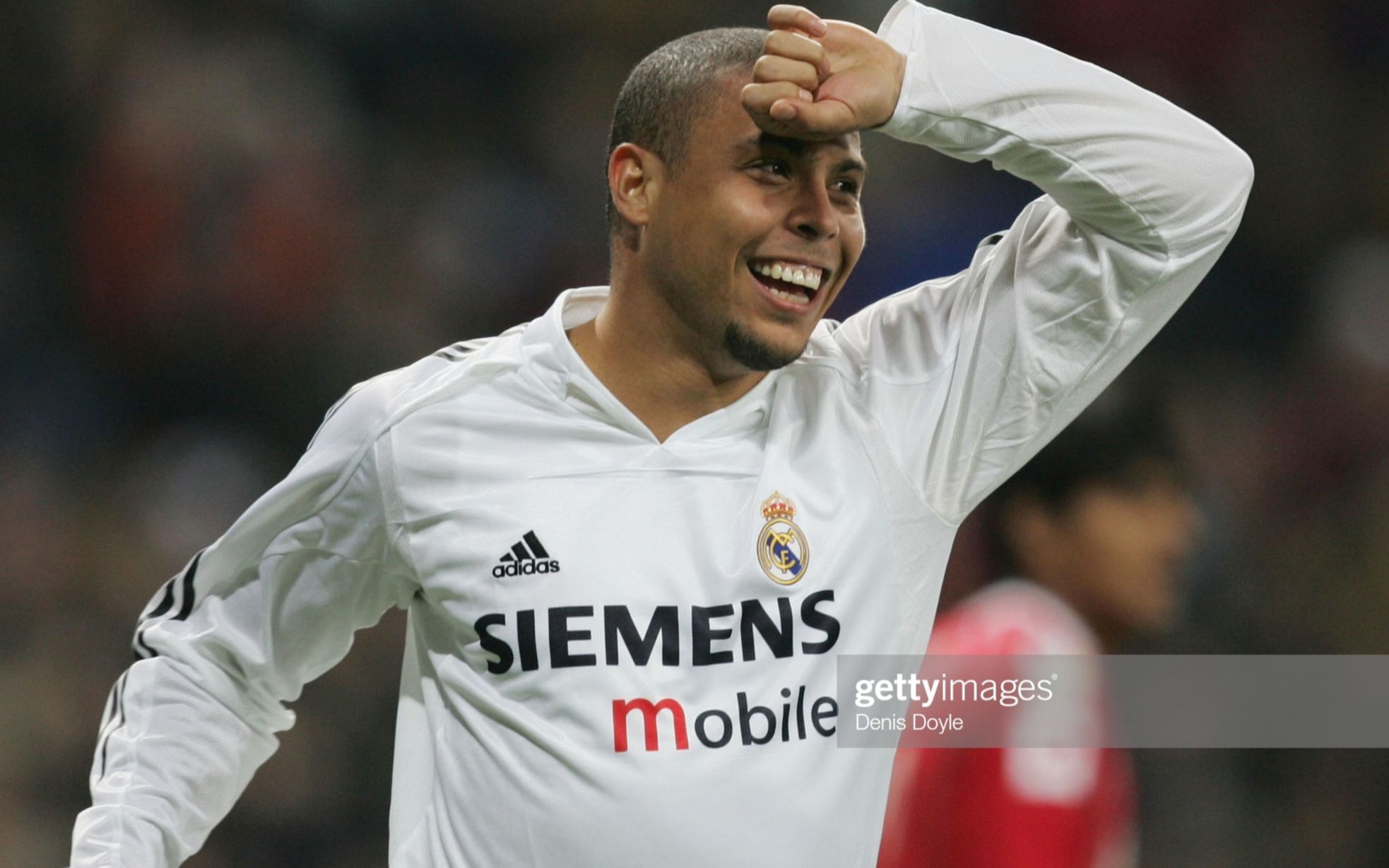 7大强援 7大强援